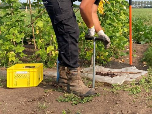 Oproep aan moestuinders: doe mee met bodemonderzoek PFAS